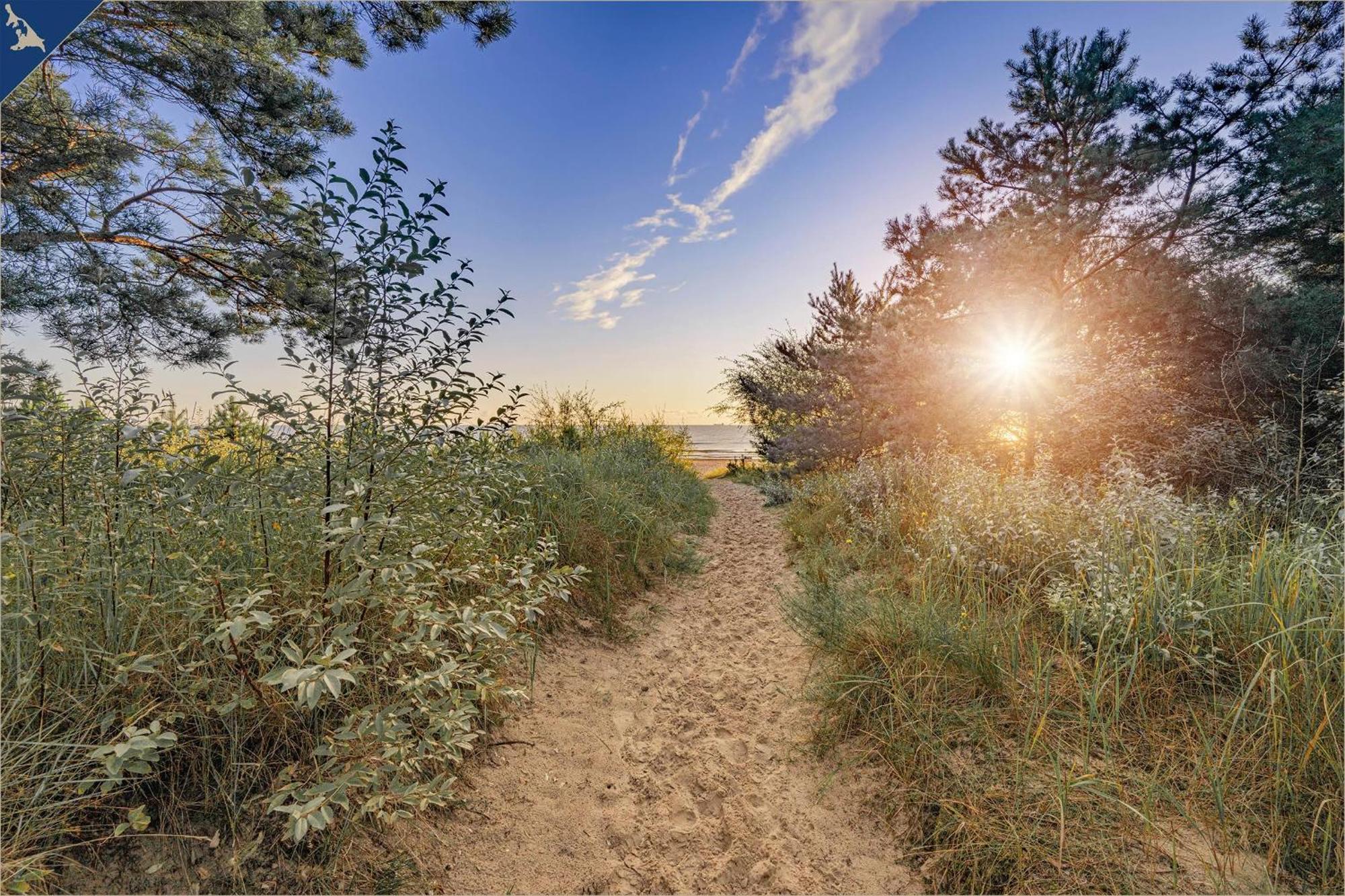 Haus Usedom Appartement Meeresbucht Koserow ภายนอก รูปภาพ